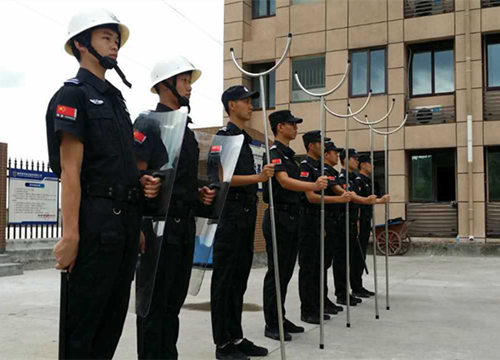 某企業執勤水蜜桃着色入口人力蜜桃视频网站污